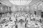 パームコート