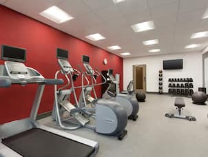 Fitness Center with Treadmill, Cross-Trainer, Weight Bench and Dumbbell Rack