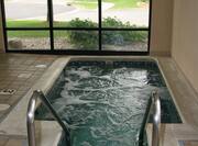 Indoor Whirlpool Hot Tub