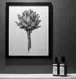 arredamento del bagno