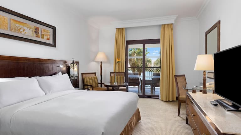 Overview of Deluxe King Room