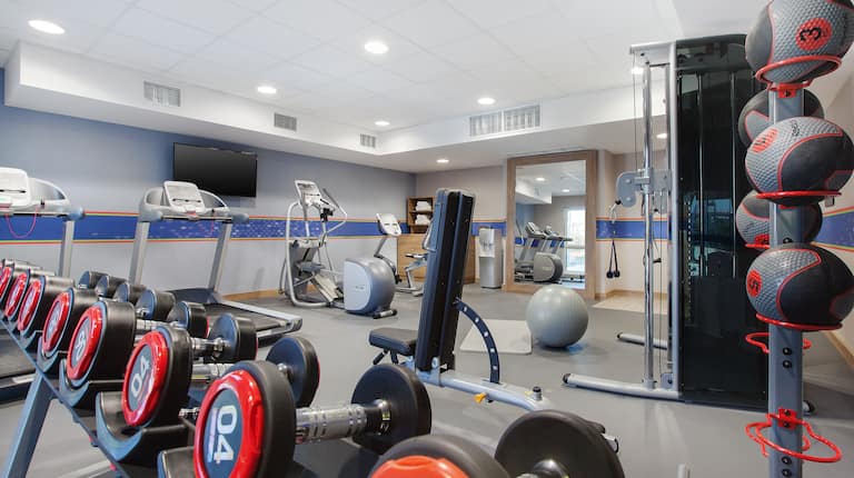 Free Weights, Cardio Equipment, TV, Full Length Mirror, Exercise Ball, and Weight Balls in Fitness Center