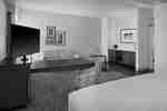 1 King Studio Suite