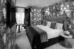 King Guestroom With Lounge Area and Patterned Wallpaper and TV