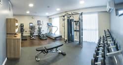 Fitness Center with Dumbbell Rack, Weight Bench, Weight Machine and Cardio Equipment