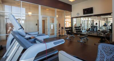 Fitness Centre Weights and Wall Mirror