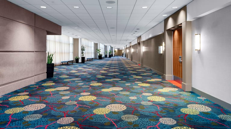meetings - pre function hallway