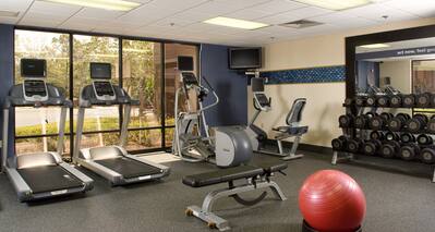 Fitness Center Equipped with Treadmills, Recumbent Bike and Weights