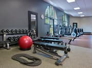 Fitness Center Weights and Exercise Equipment