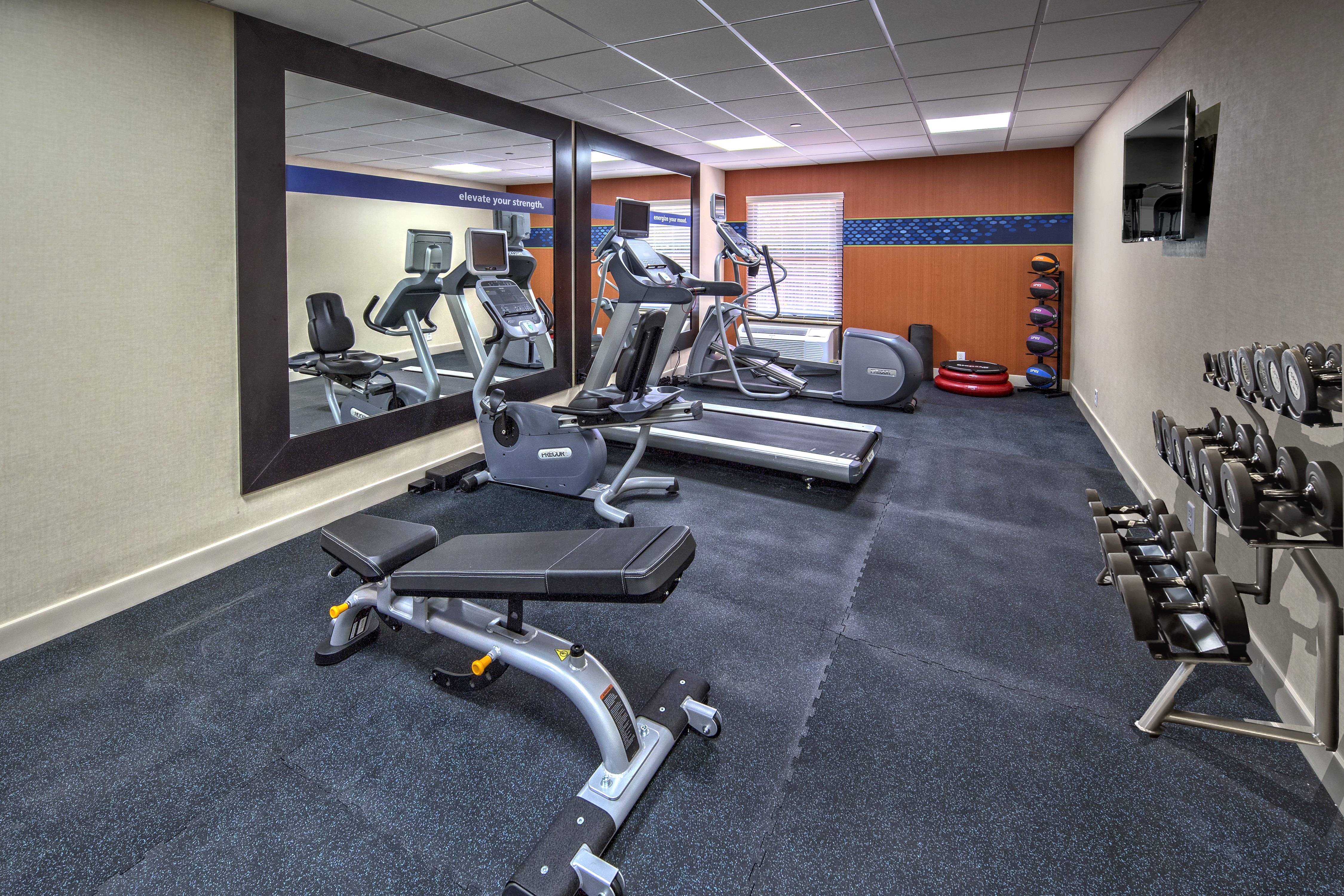 Fitness Center With TV, Free Weights, Cardio Equipment Facing Large Mirrors, and Aerobic Stepper, and Weight Balls