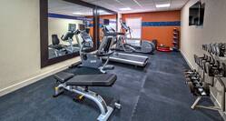 Fitness Center With TV, Free Weights, Cardio Equipment Facing Large Mirrors, and Aerobic Stepper, and Weight Balls