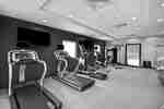 Sping2Cycle Fitness Center Cardio Equipment