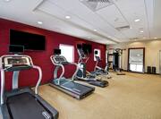 Sping2Cycle Fitness Center Cardio Equipment
