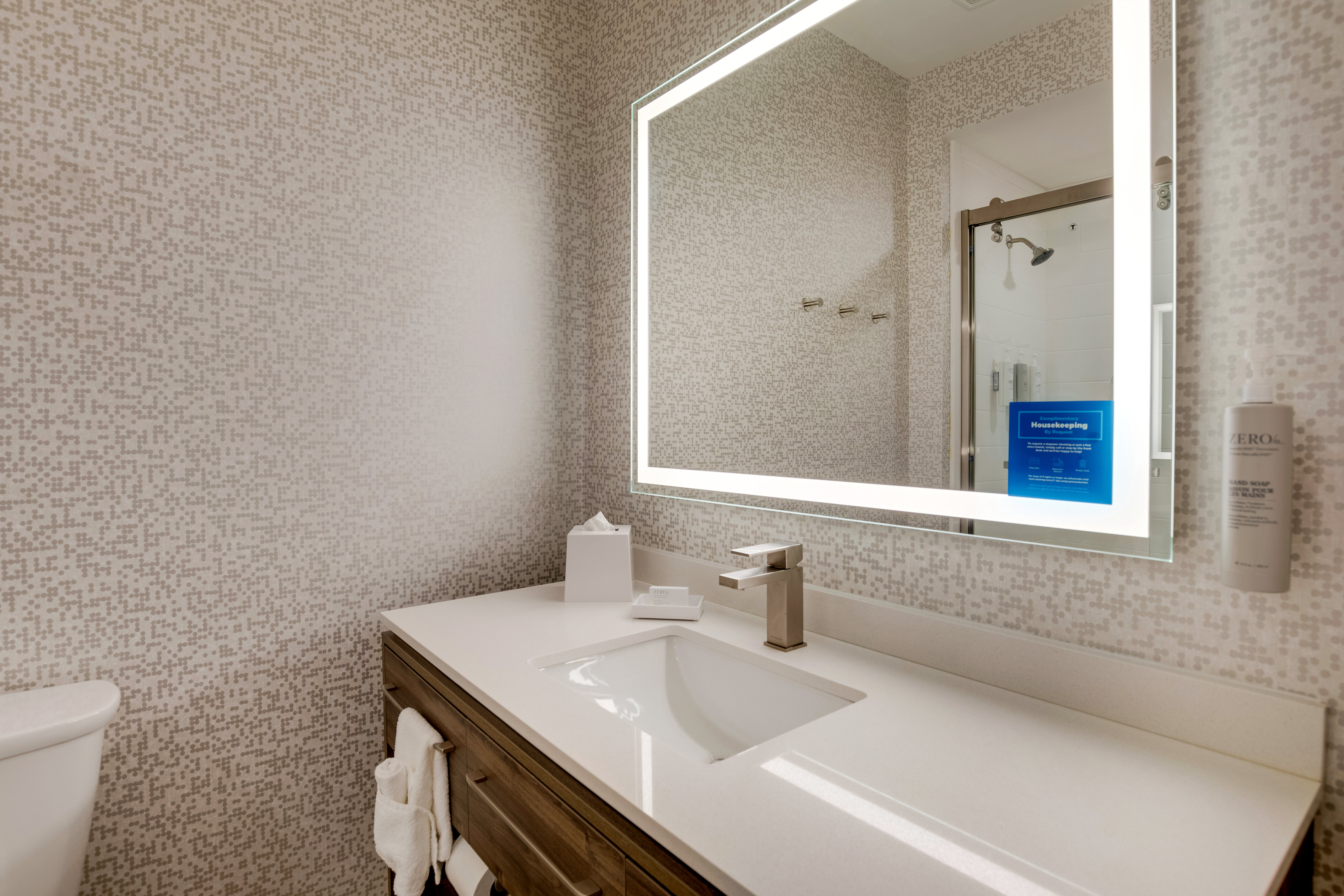 guest suite bathroom vanity, mirror