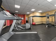 Fitness Center with Treadmill, Cross-Trainer and Weight Machine