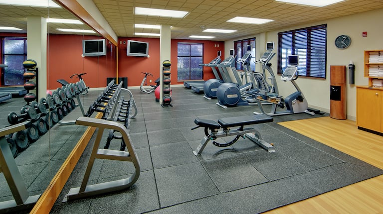 Fitness Center With TV, Weight Balls, Red Stability Ball, Cardio Equipment, Water Cooler, Towel Station, and Weight Bench, and Free Weights by Mirrored Wall