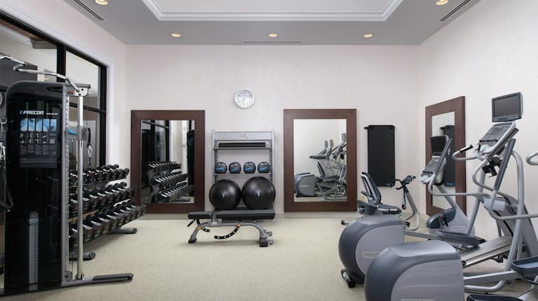 Fitness Center with Elliptical Machines, Dumbbells, Weights, and Medicine Balls
