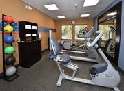Fitness Center with Cycle Machine, Treadmill and Medicine Ball Rack