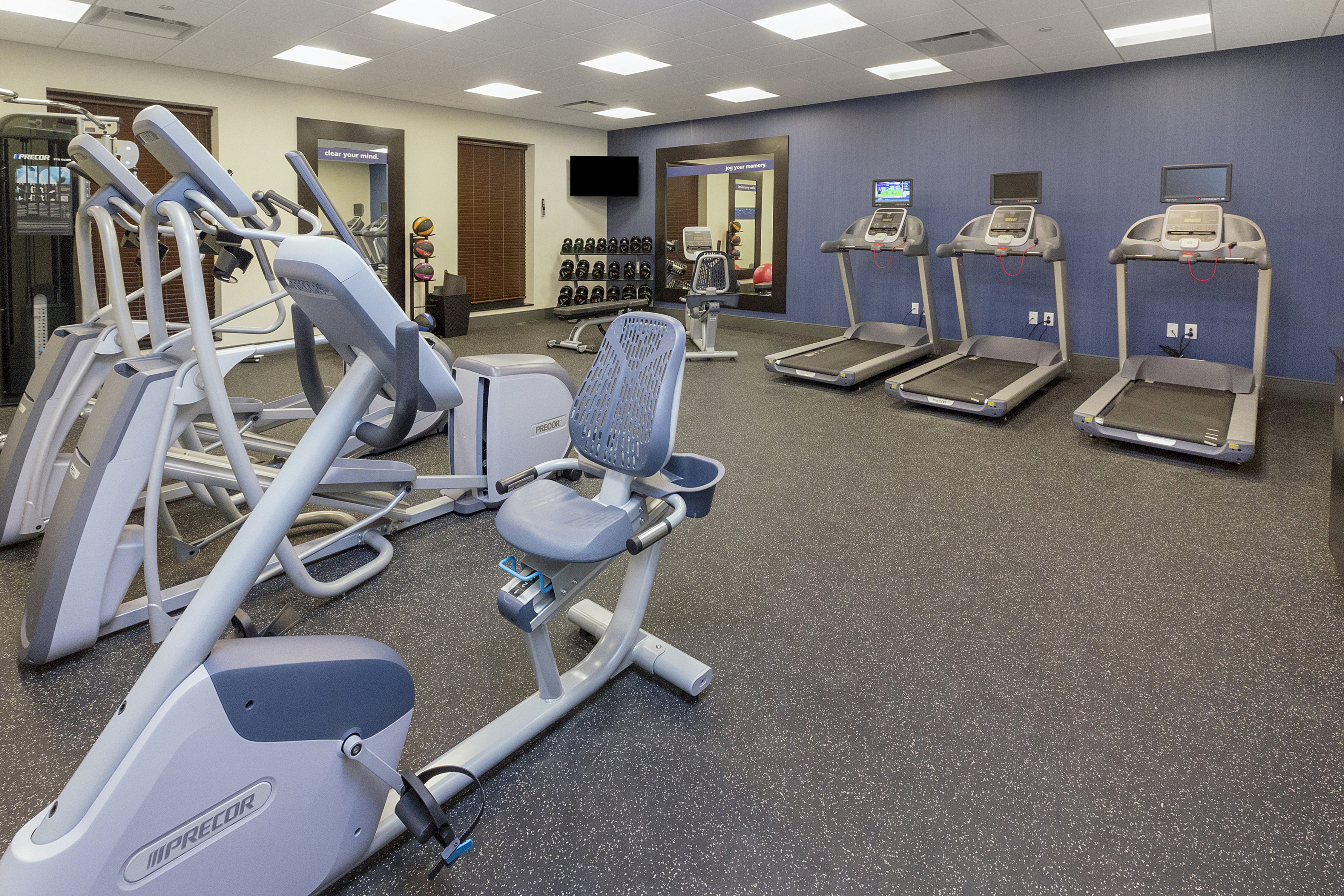 Fitness Center with Treadmills, Cycle Machine, Cross-Trainers and Dumbbell Rack
