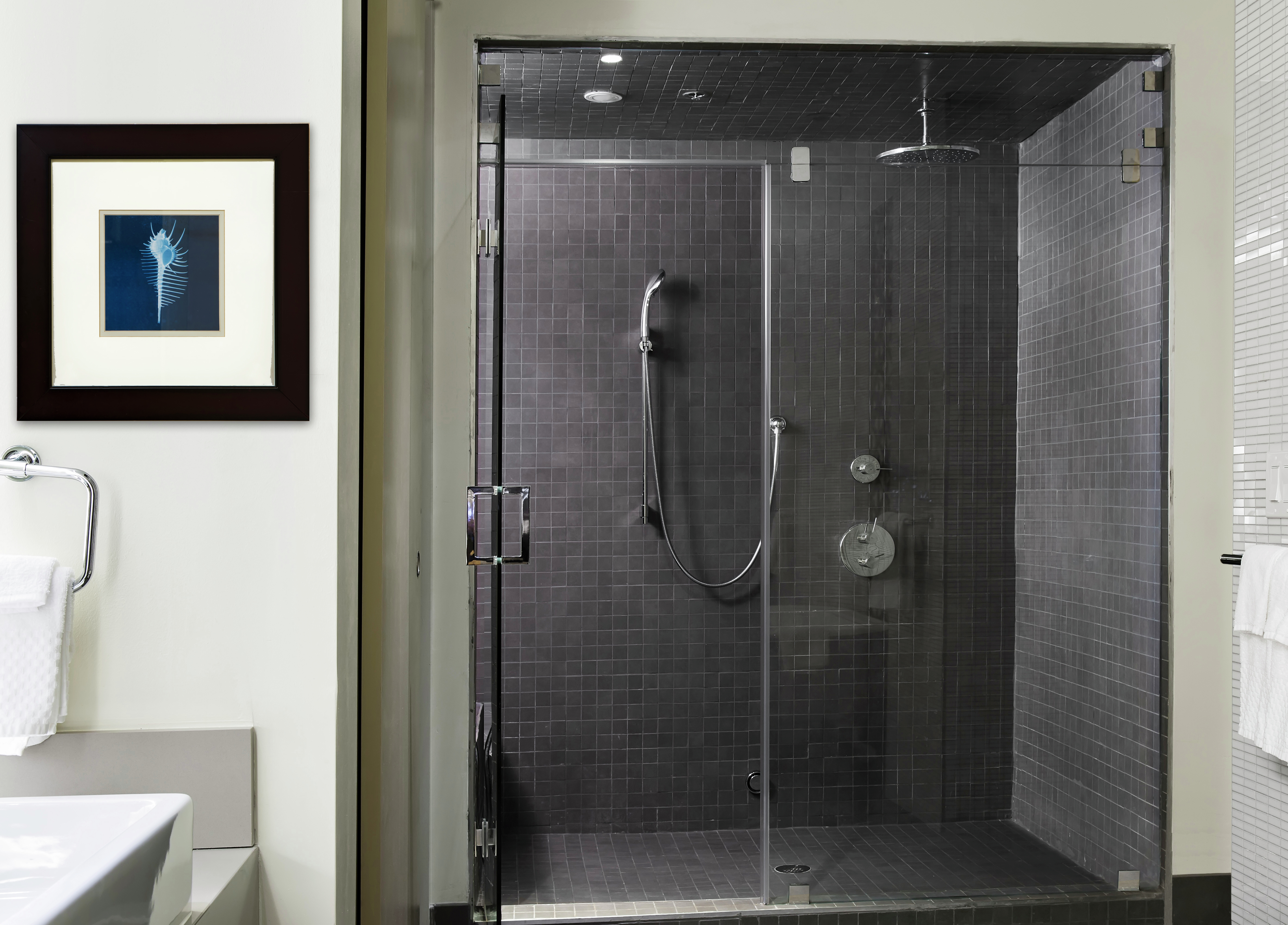 Walk-In Glass Shower in Suite Bathroom