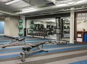 Fitness Center Weight Benches, Dumbbell Rack and Weight Machine