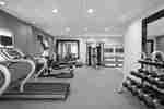 Fitness Center with Treadmill, Free Weights Rack, Cross-Trainer, Exercise Bike and Weight Machine