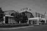 Welcoming hotel exterior featuring covered entrance, lush landscaping, and dusk sky.