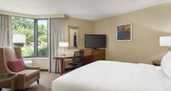 Spacious guest room featuring comfortable king bed, TV, work desk, and beautiful outside view.