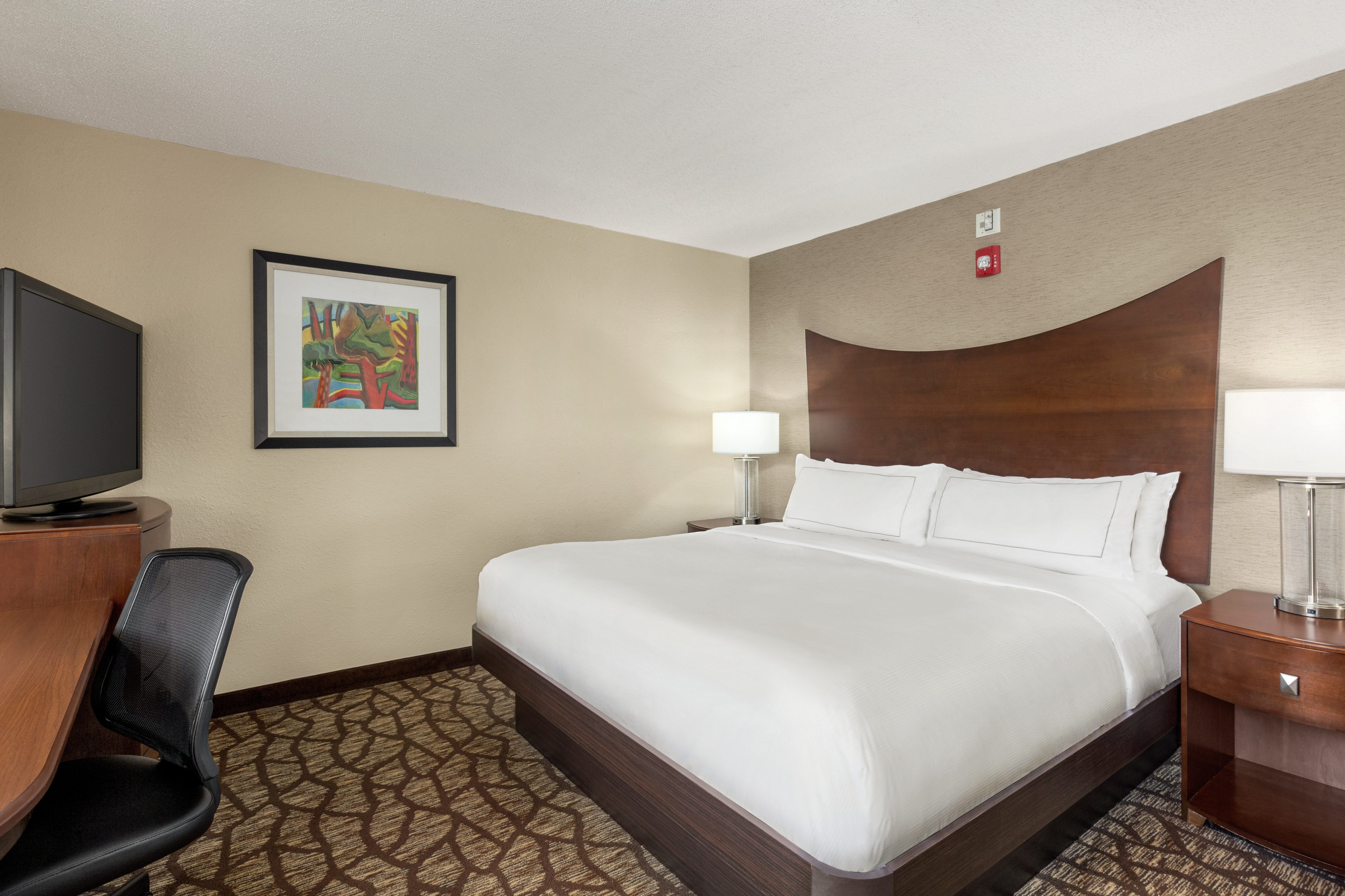Spacious accessible guest room featuring comfortable king bed, TV, and work desk.