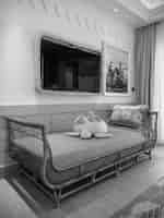 거북이 장난감 및 TV가 있는 객실의 의자