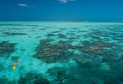Wide shot of person snorkelling in the sea