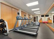 Fitness Center with Treadmills, Cross-Trainer and Dumbbell Rack