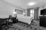 Suite With King Bed
