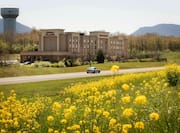 Exterior with Yellow Flowers Field View