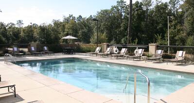 Daytime View of Outdoor Pool Surrounded by Trees, Table With Umbrella, Chairs, and Loungers on a Sunny Day