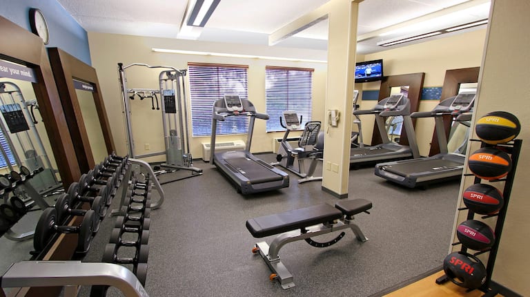 Fitness Center With Weight Machine, Cardio Equipment, TV, Bench, Weight Balls, Free Weights, and Large Mirrors