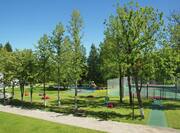 Daytime View of Tennis Courts