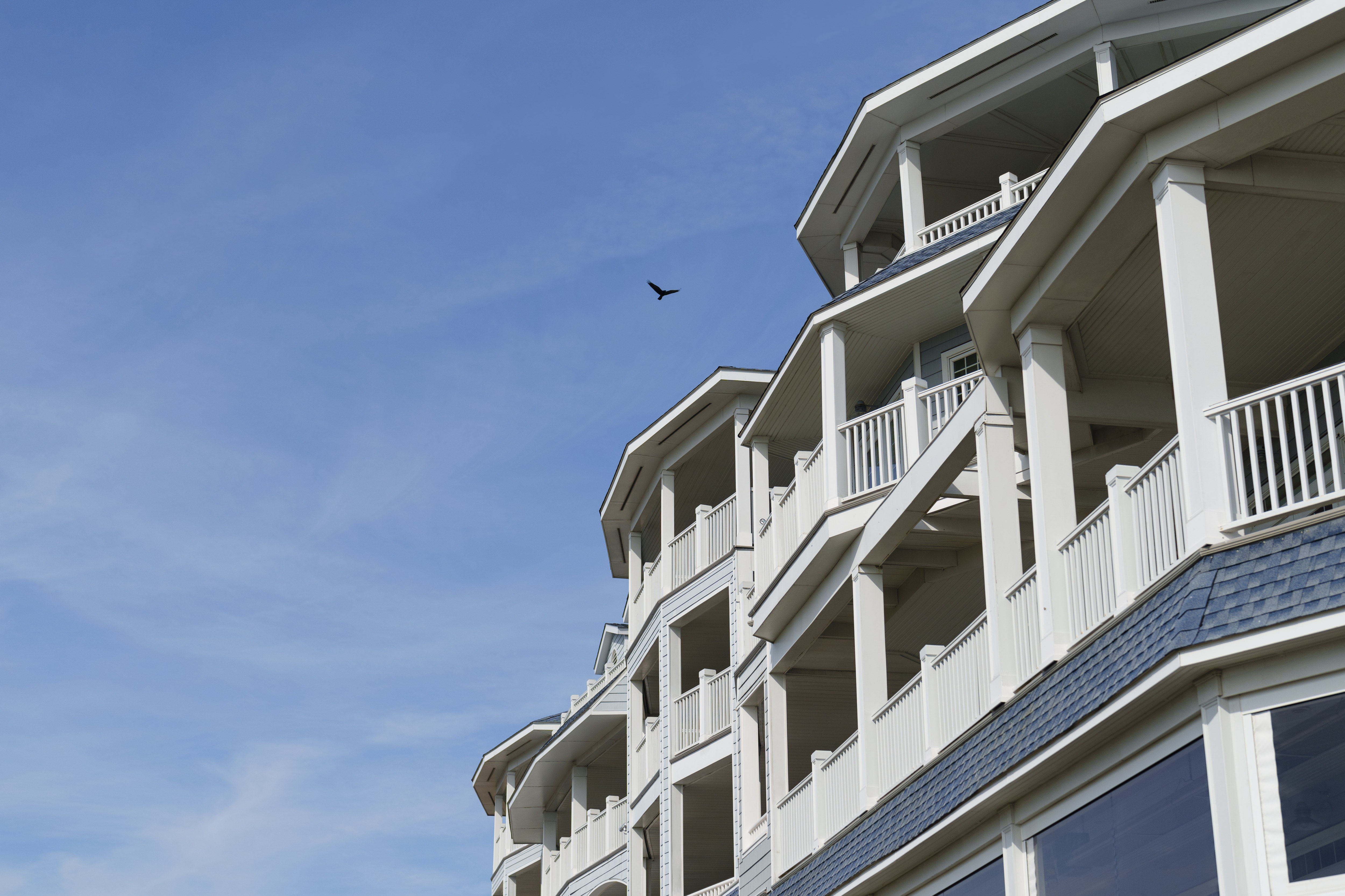 Hotel exterior with bird fying overhead