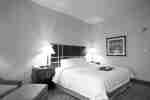 Tempat Tidur King