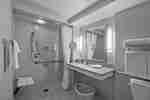 Accessible Bathroom Roll-in Shower