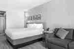 1 King Bed