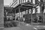 Welcoming Hampton Inn & Suites hotel exterior featuring lush greenery and historical design.