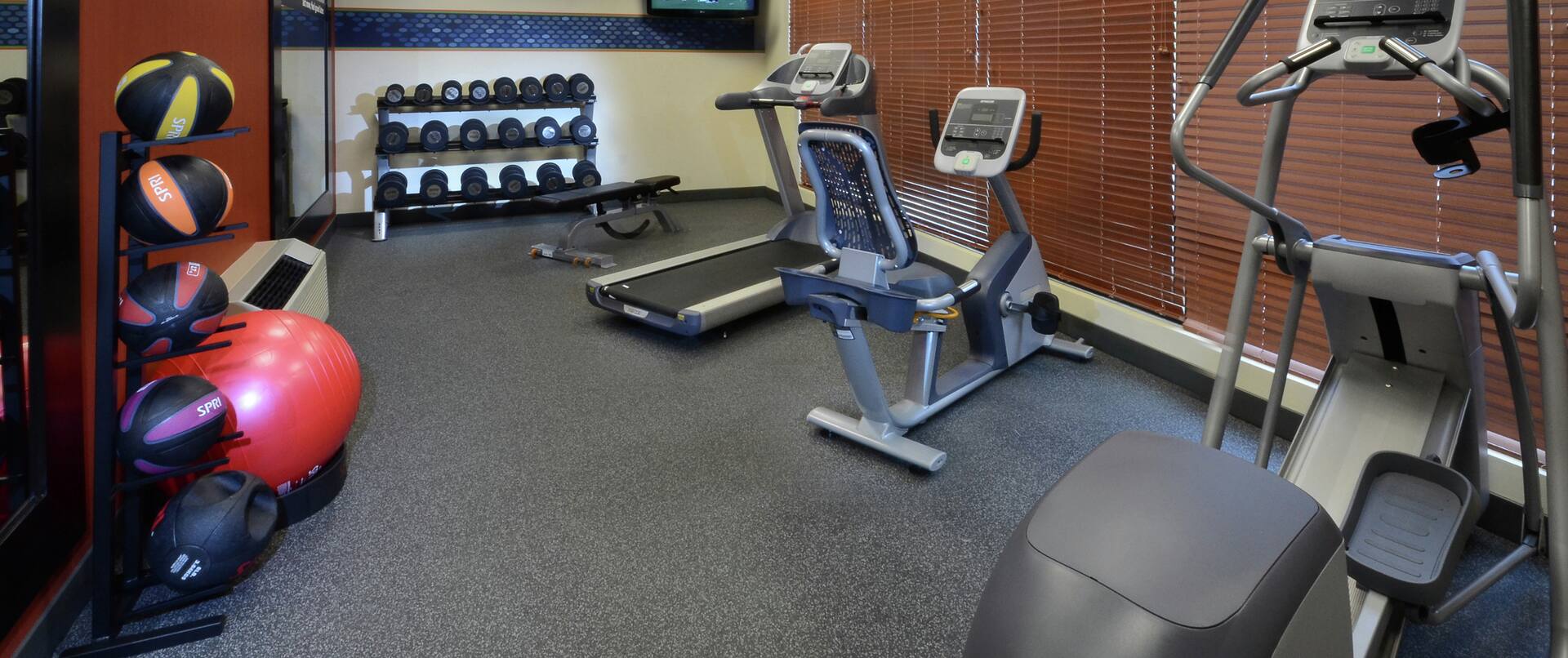 Fitness Center With TV, Weight Bench, Cardio Equipment, Weight Balls, Red Stability Ball, Mirror, and Free Weights 