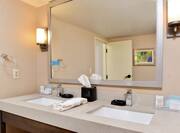 Hotel Guestroom Suite Bathroom