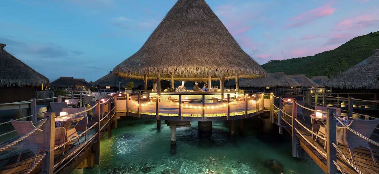 Bar with Seating Area Over Water with Sharks