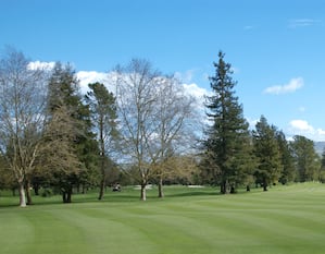 Golf Course 