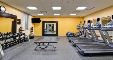 Fitness Center Treadmills Dumbbell Rack Weight Bench