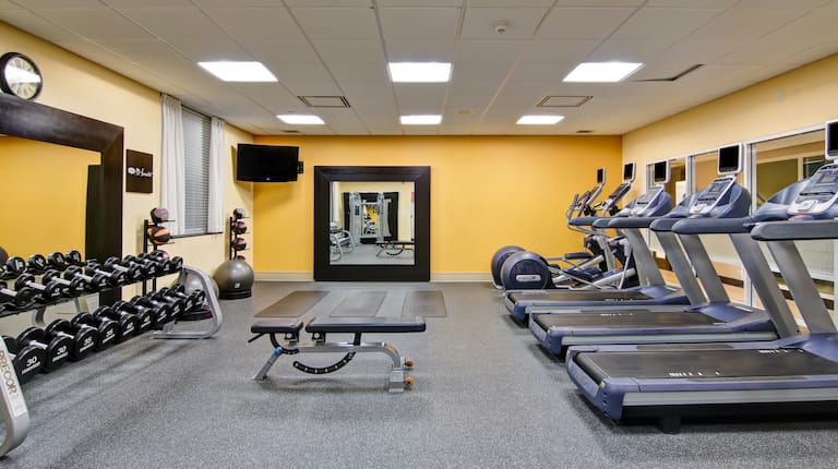 Fitness Center Treadmills Dumbbell Rack Weight Bench