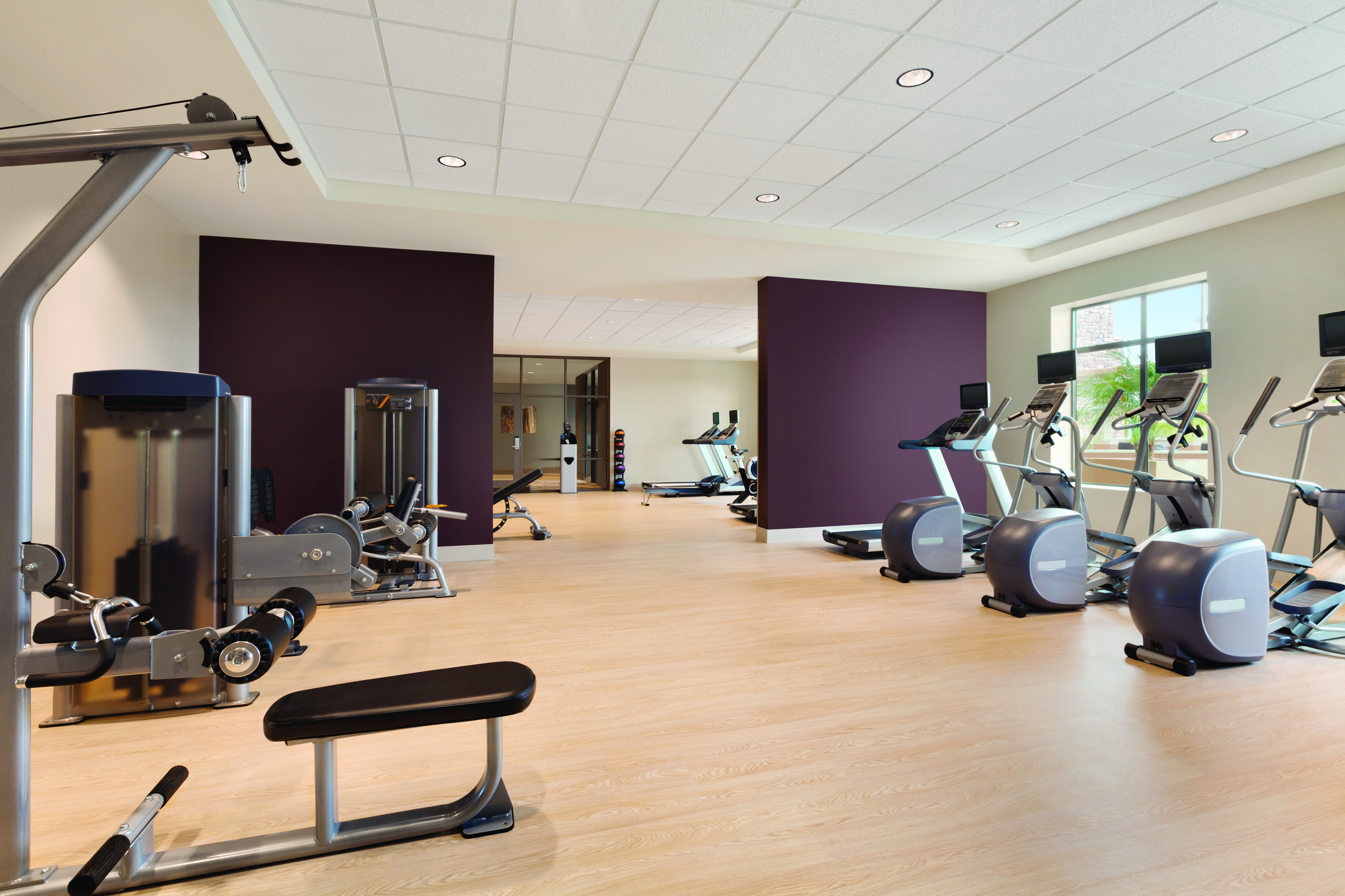 Fitness Center with Cross-Trainers and Weight Machines