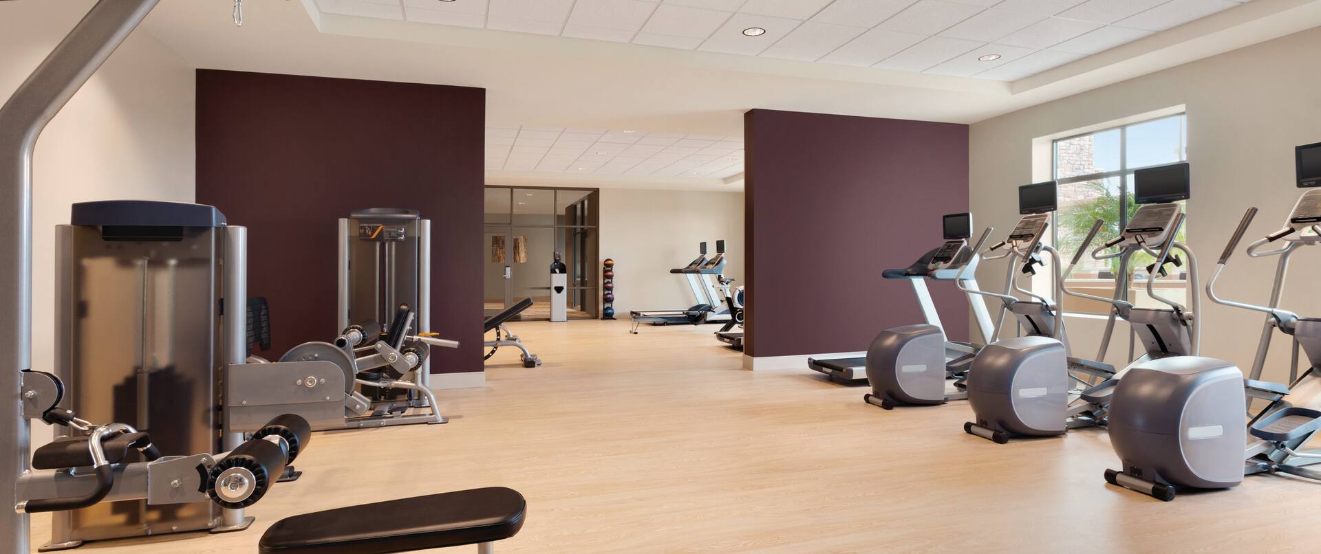 Fitness Center with Cross-Trainers and Weight Machines